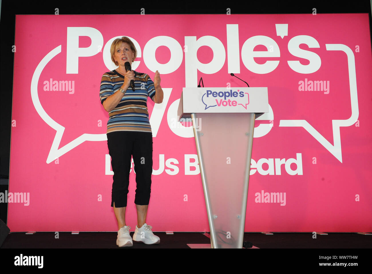 Die Neon Arena, Newport, South Wales, Sept. 13 th 2019 Anna Soubry MP ändern Großbritanniens während des Wales für Europa Rallye am Freitag, den 13. September 2019. (Credit: Jeff Thomas | MI Nachrichten) Credit: MI Nachrichten & Sport/Alamy leben Nachrichten Stockfoto