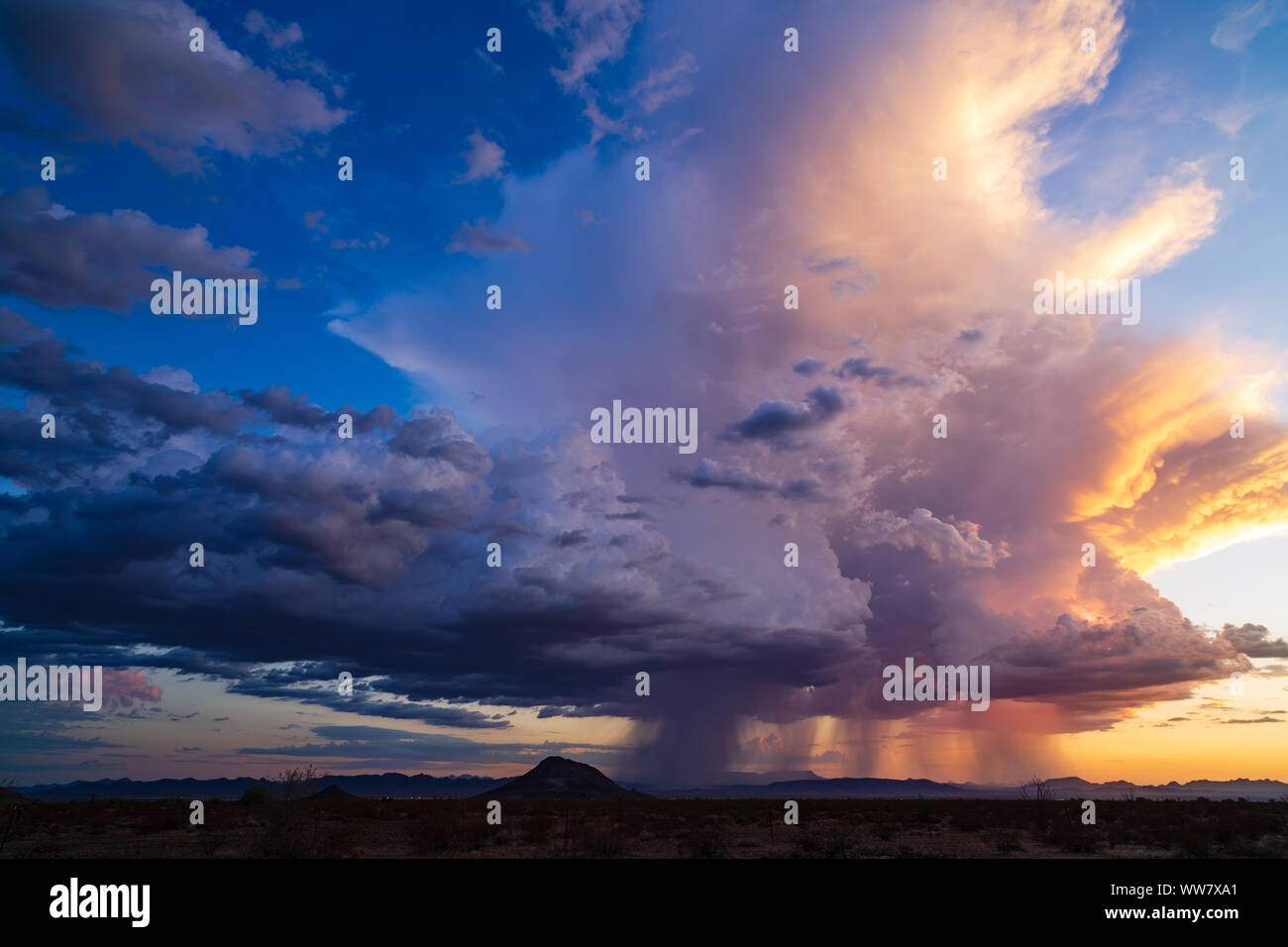 Cumulonimbus-Wolken und dramatischer Himmel bei Sonnenuntergang in Arizona von einem Gewitter in der Nähe von Salome Stockfoto