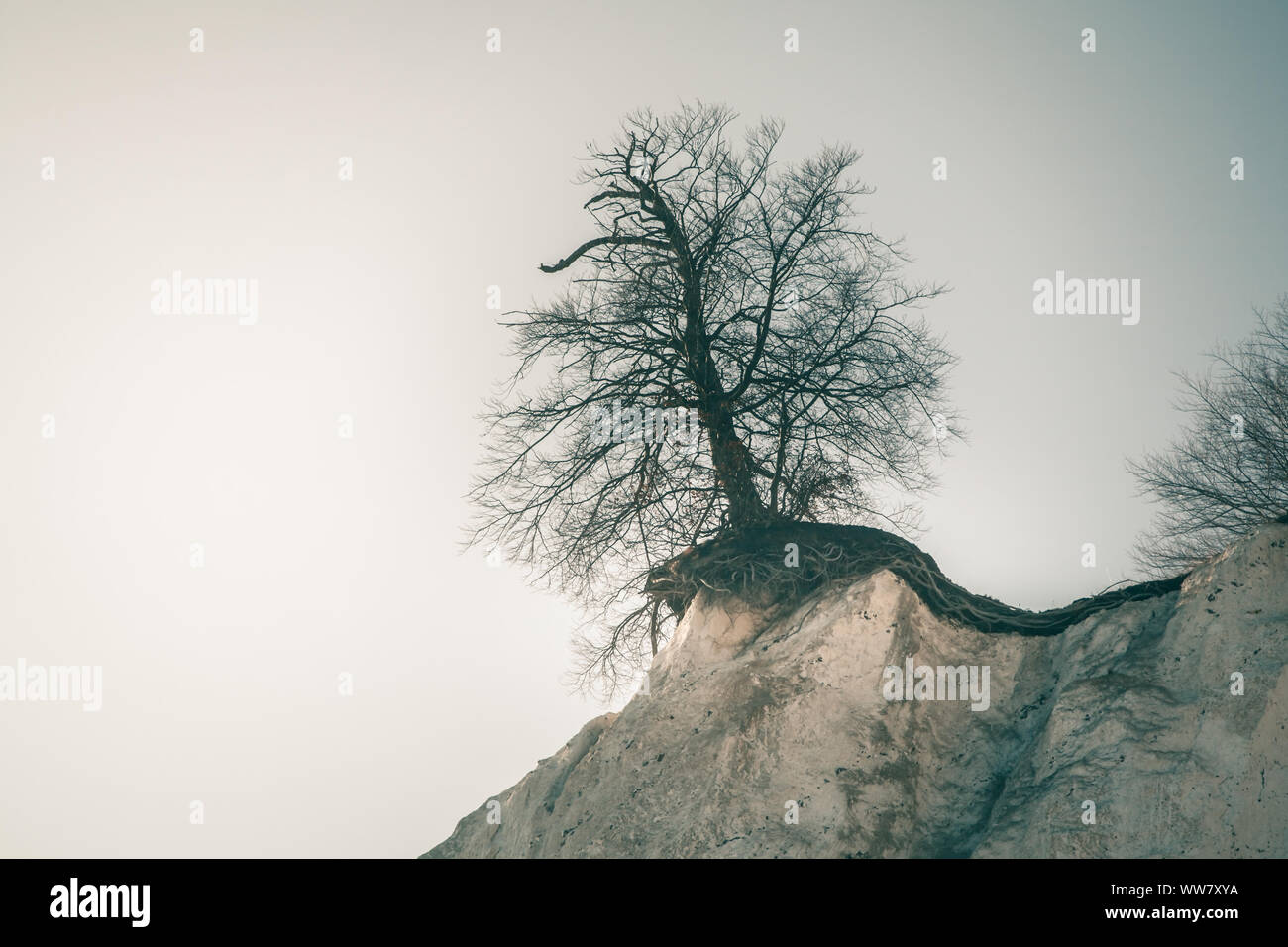Risk Of Falling Stockfotos Risk Of Falling Bilder Alamy