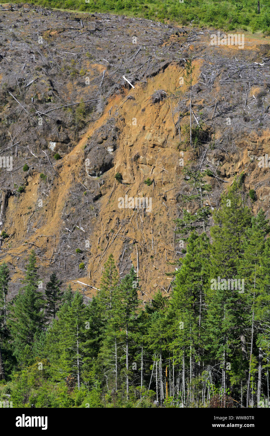 Der Kahlschlag verursacht einen Berghang in Erdrutsche zusammenbrechen, in der Coast Range in der Nähe von Myrtle Creek, Pennsylvania Stockfoto
