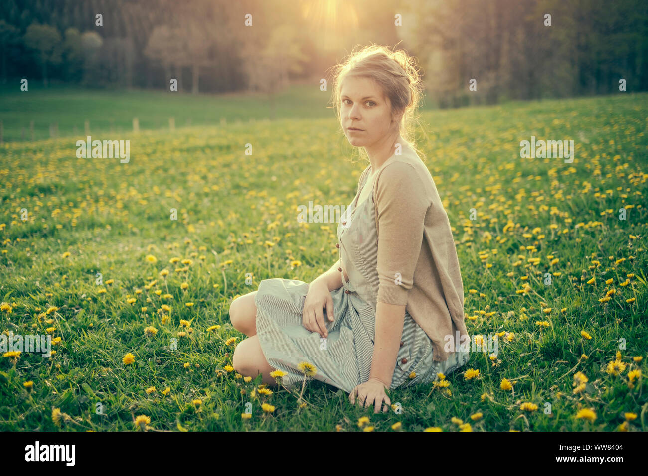 Junge Frau sitzt im Löwenzahn Feld im Frühjahr im ländlichen Frankreich. Stockfoto