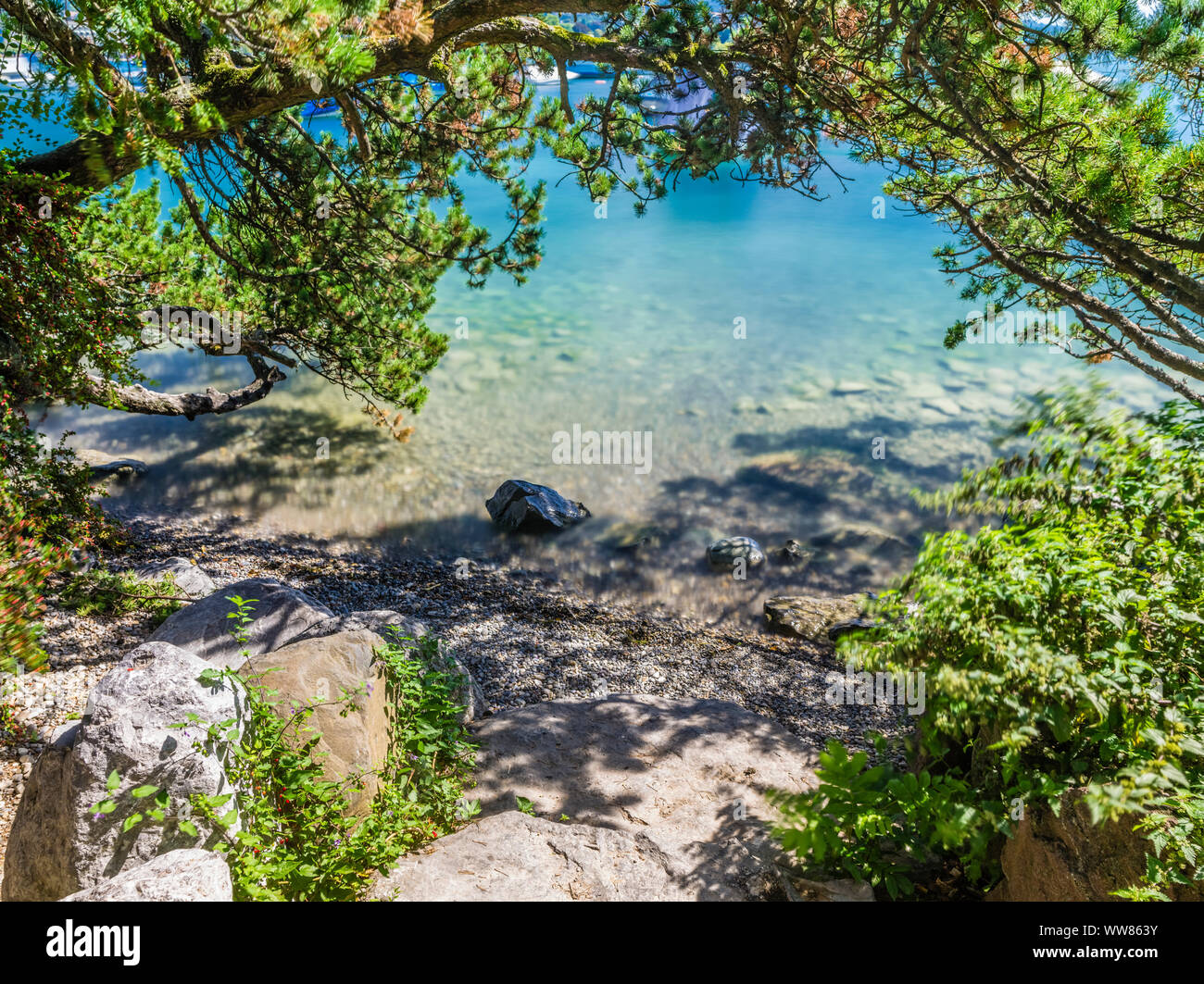 Ruhiger Platz am Ufer des Sees Zürich unter Bäumen Stockfoto