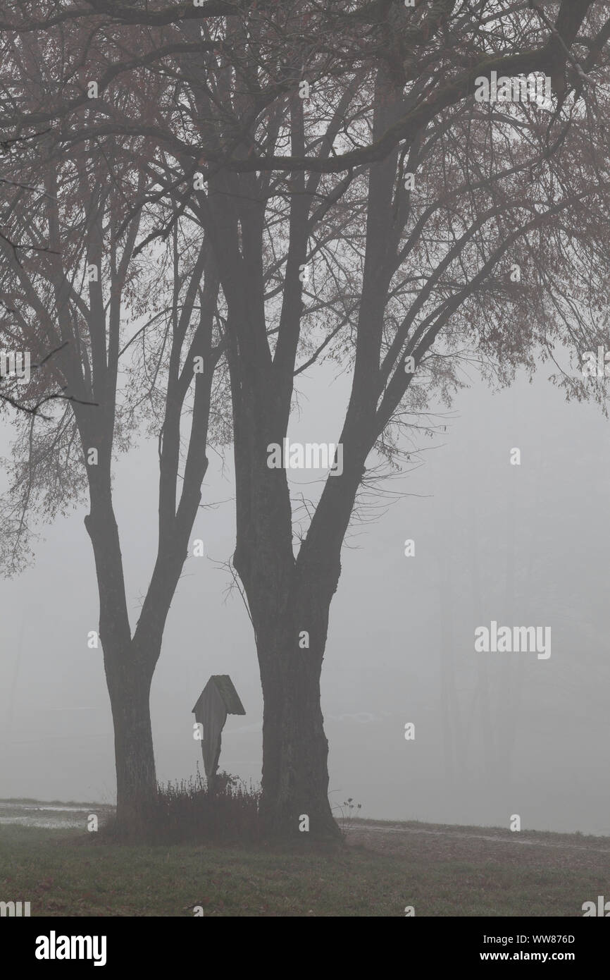 Kalvarienberg zwischen zwei grosse Bäume im Nebel Stockfoto