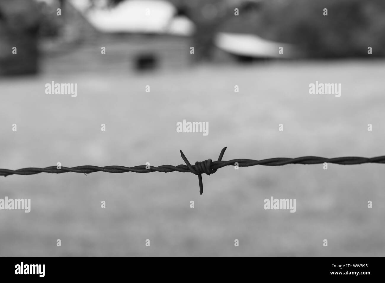 Schwarze und Weiße Stacheldraht Stockfoto