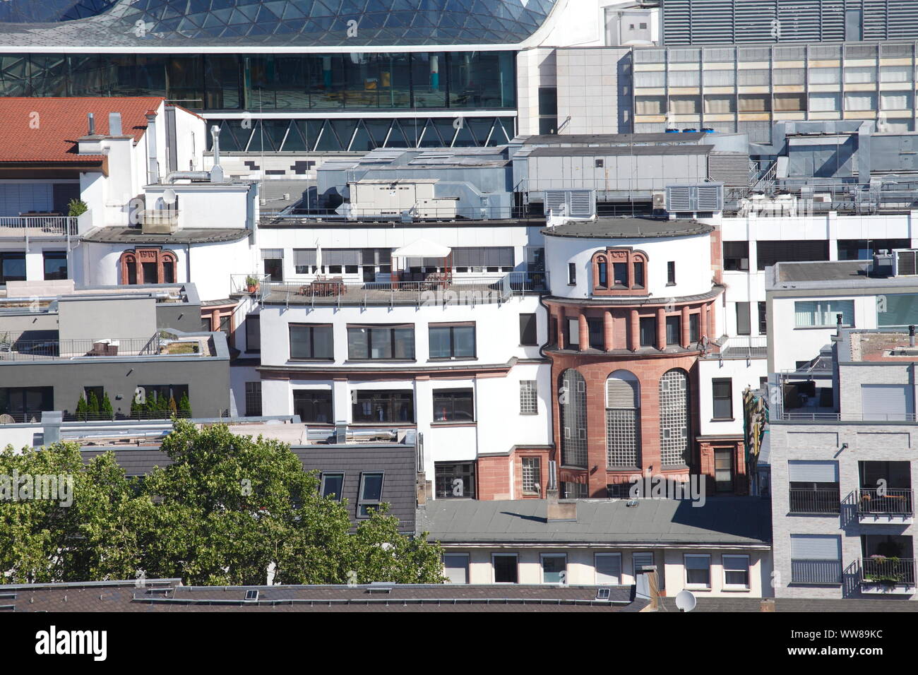 Downtown, Häuser und Dächer, Blick vom Domturm, Frankfurt am Main, Hessen, Deutschland, Europa Stockfoto