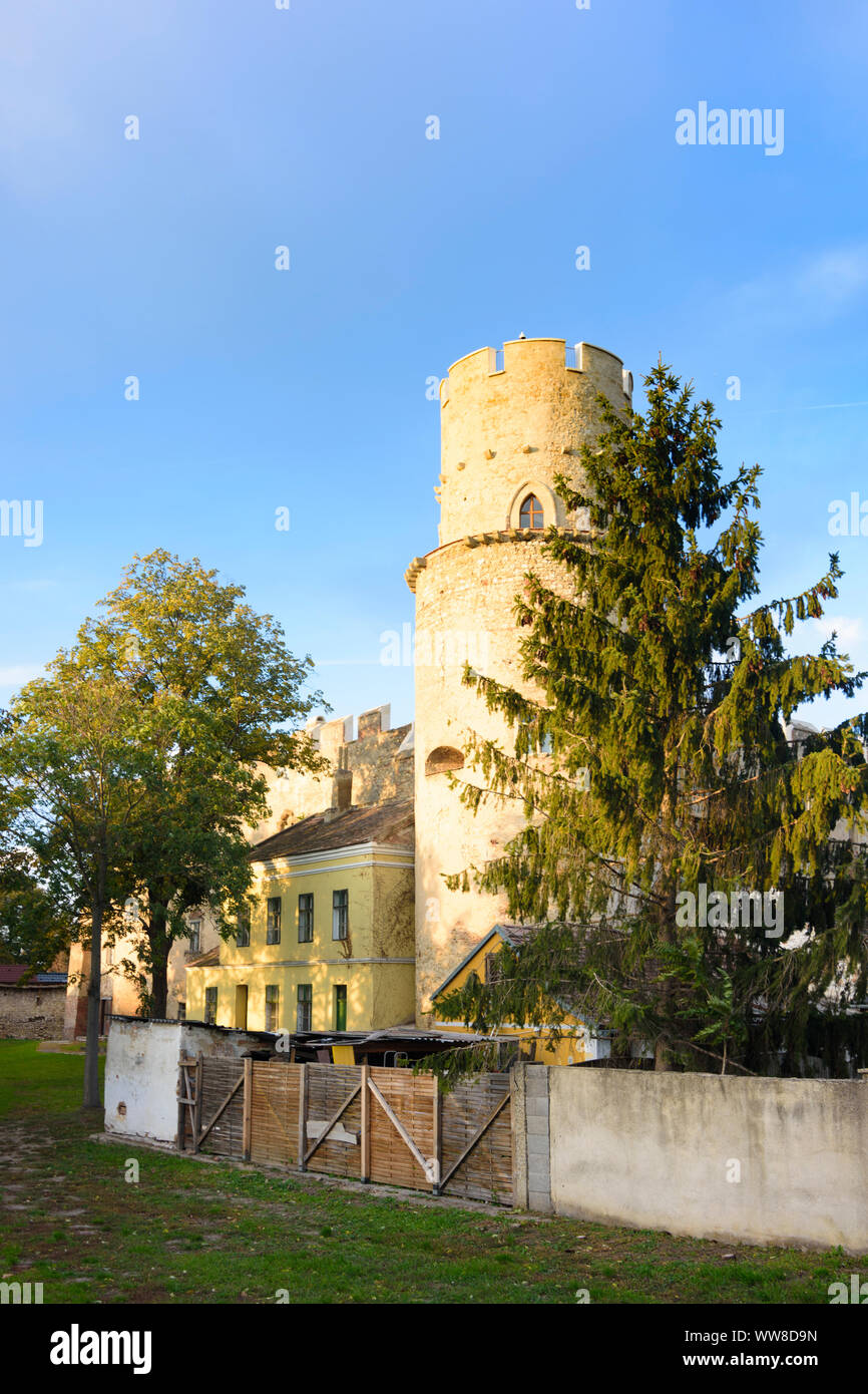 Laa an der Thaya, Schloss in Wein Weinviertel (Viertel), Lower Austria, Austria Stockfoto