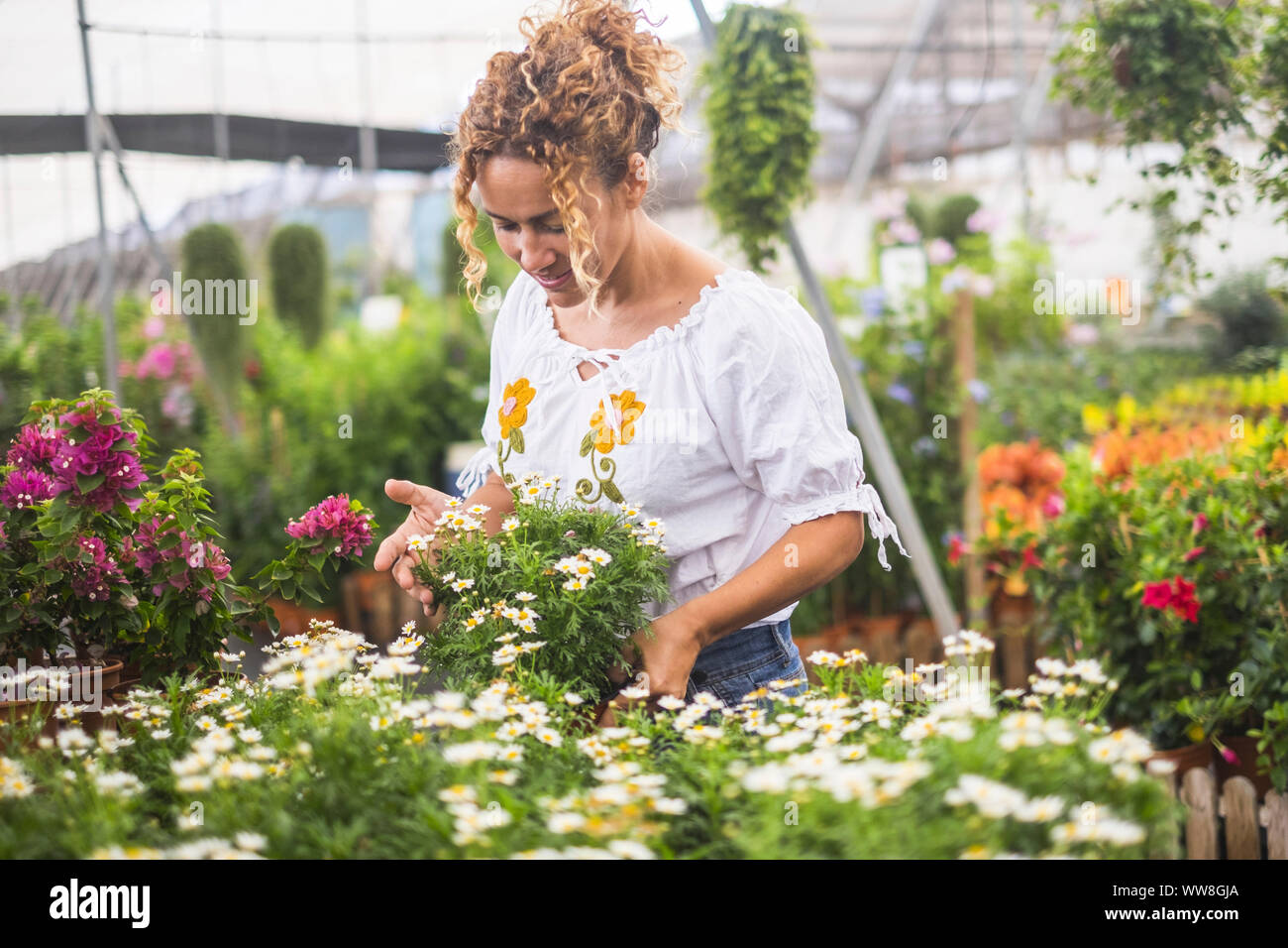 Junge Floristen arbeiten in einem Gewächshaus mit vielen Sämlinge bewundert das Wachstum der weißen Blüten wie Gänseblümchen, Konzept der Sorgfalt und Leidenschaft für die Natur Stockfoto