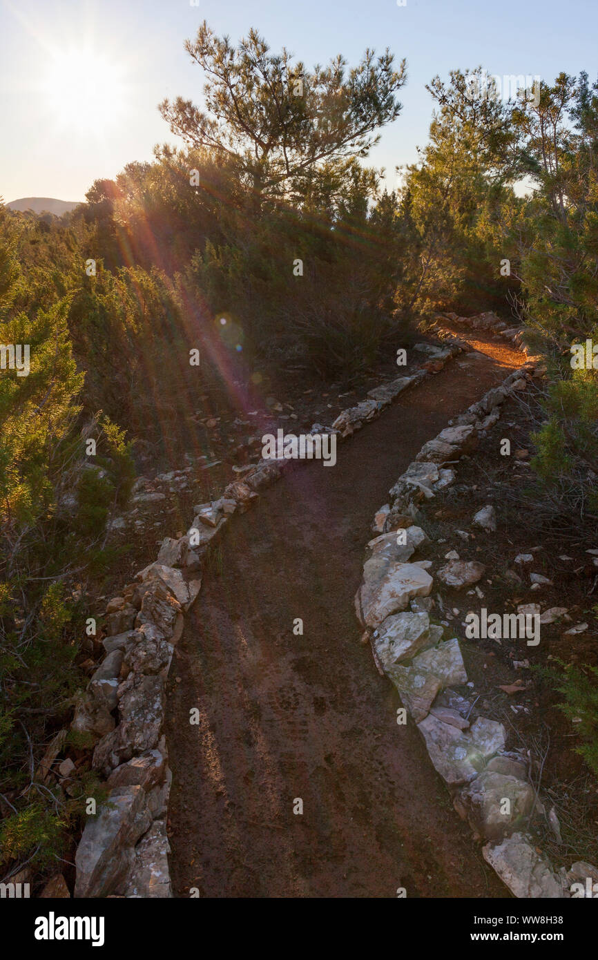 Mediterrane Vegetation mit Wanderweg, 20 km südöstlich von Bodrum, in der Türkei, Stockfoto