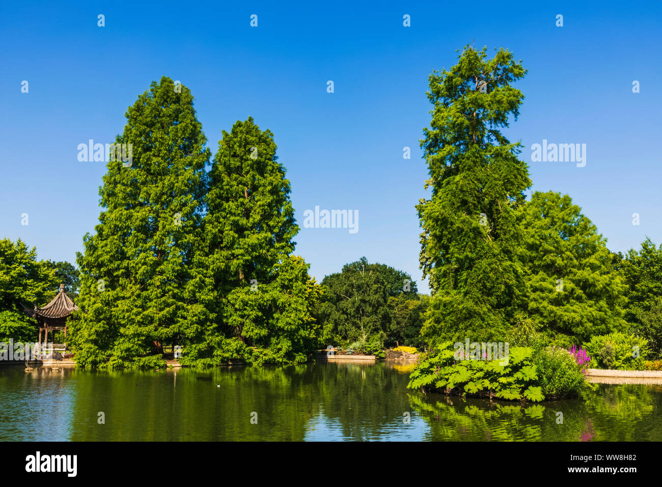 England, Surrey, Guildford, Wisley, der Royal Horticultural Society Garden, sieben Hektar großen Teich und die japanische Pagode Stockfoto
