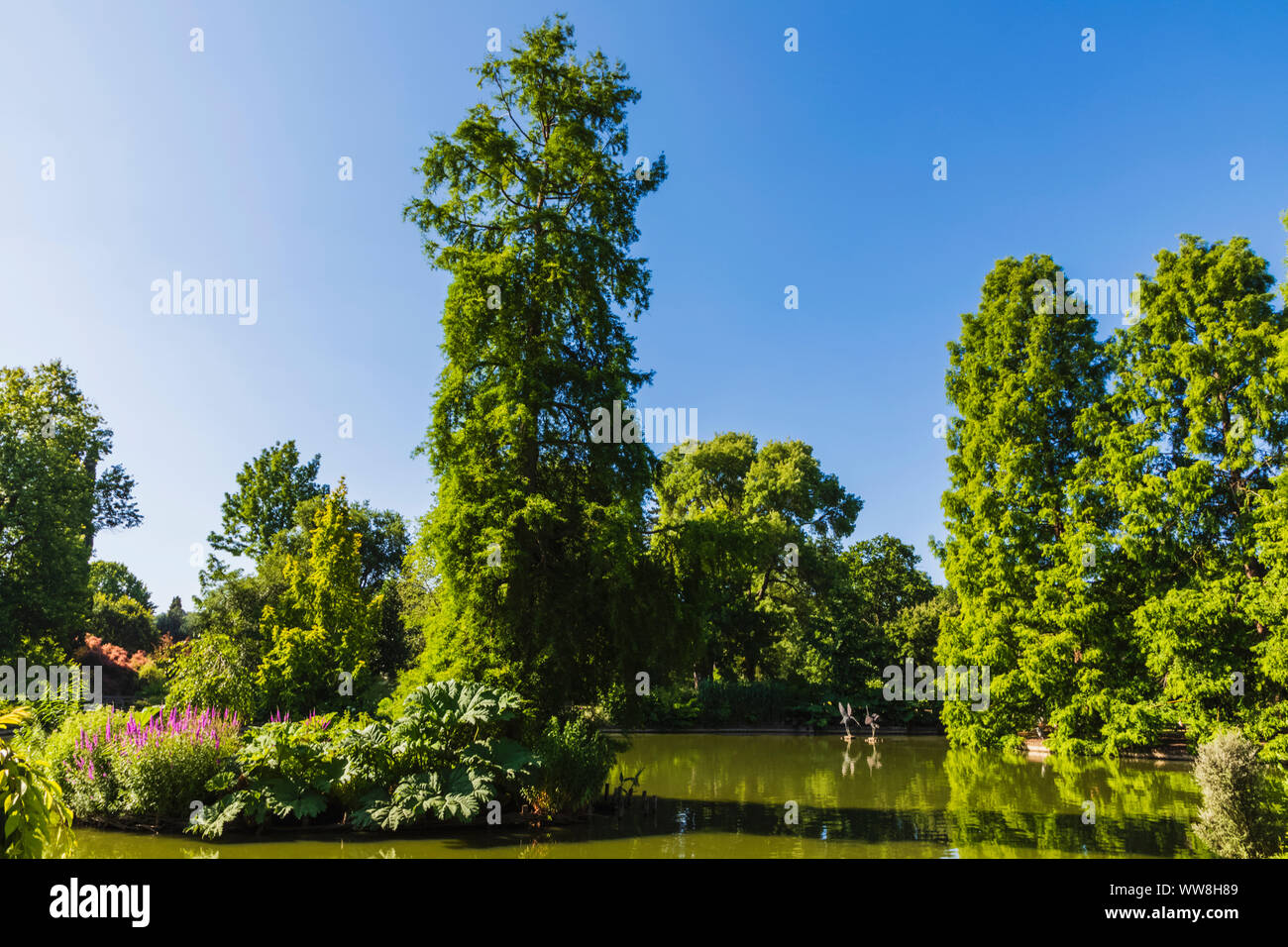 England, Surrey, Guildford, Wisley, der Royal Horticultural Society Garden, sieben Hektar großen Teich und die japanische Pagode Stockfoto