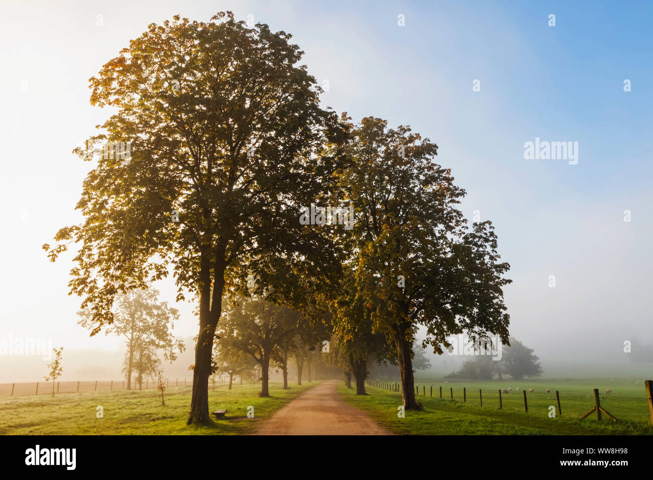 England, Buckinghamshire, Stowe, Stowe Landschaft, Gärten, Bäume und Leere Fußweg Stockfoto