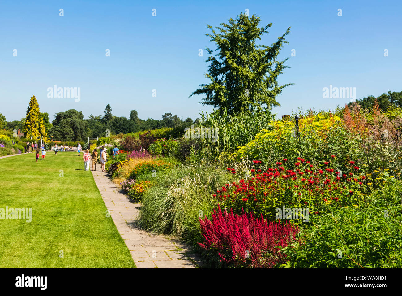 England, Surrey, Guildford, Wisley, der Royal Horticultural Society Garden, Blumen in voller Blüte Stockfoto