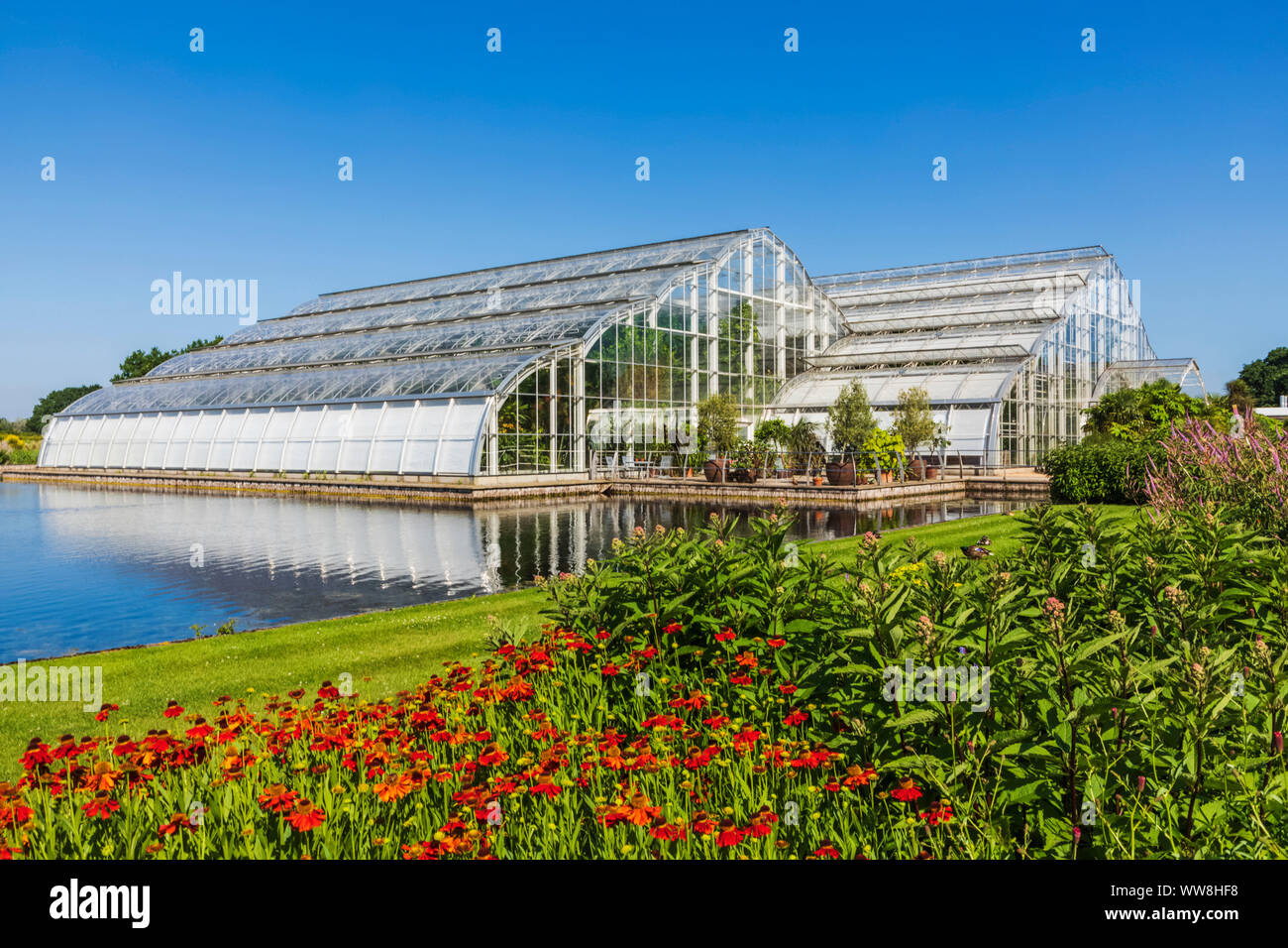 England, Surrey, Guildford, Wisley, der Royal Horticultural Society Garden, The Glasshouse Stockfoto