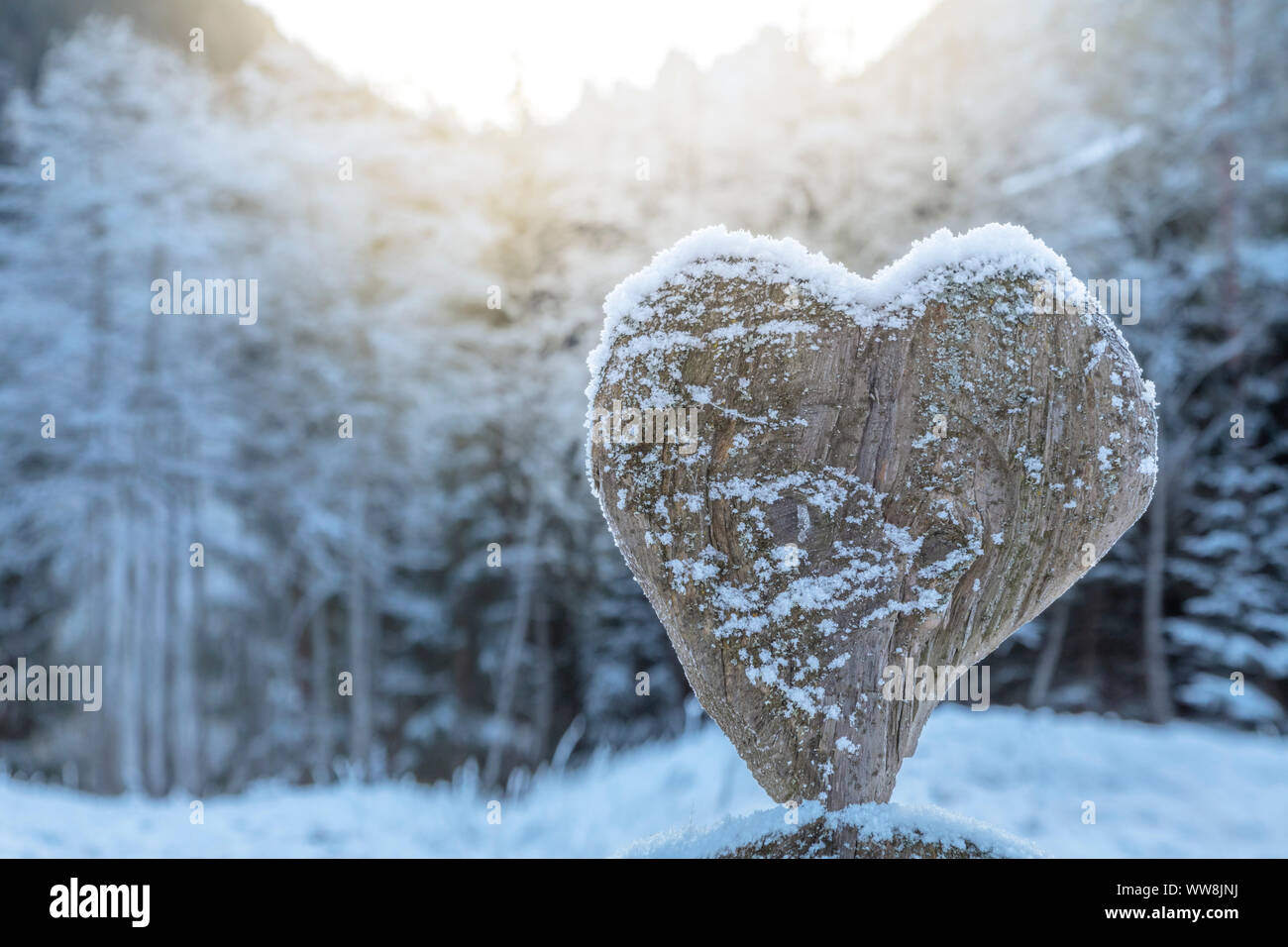 Holz- Skulptur in der Form eines Herzens in einem verschneiten Winterwald Stockfoto