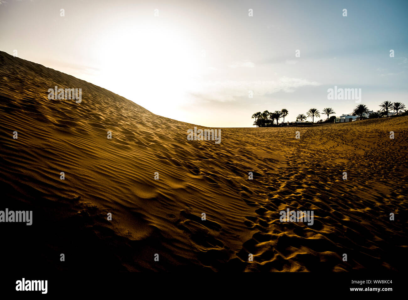 Deset und Dünen Landschaft während einer schönen goldenen Sonnenuntergang. tropischen Palmen und Häuser im Hintergrund. Footprint von Menschen und Wellen auf den Sand. Warme Farben auf dem Boden und blauer Himmel. outdoor Schönheit Stockfoto