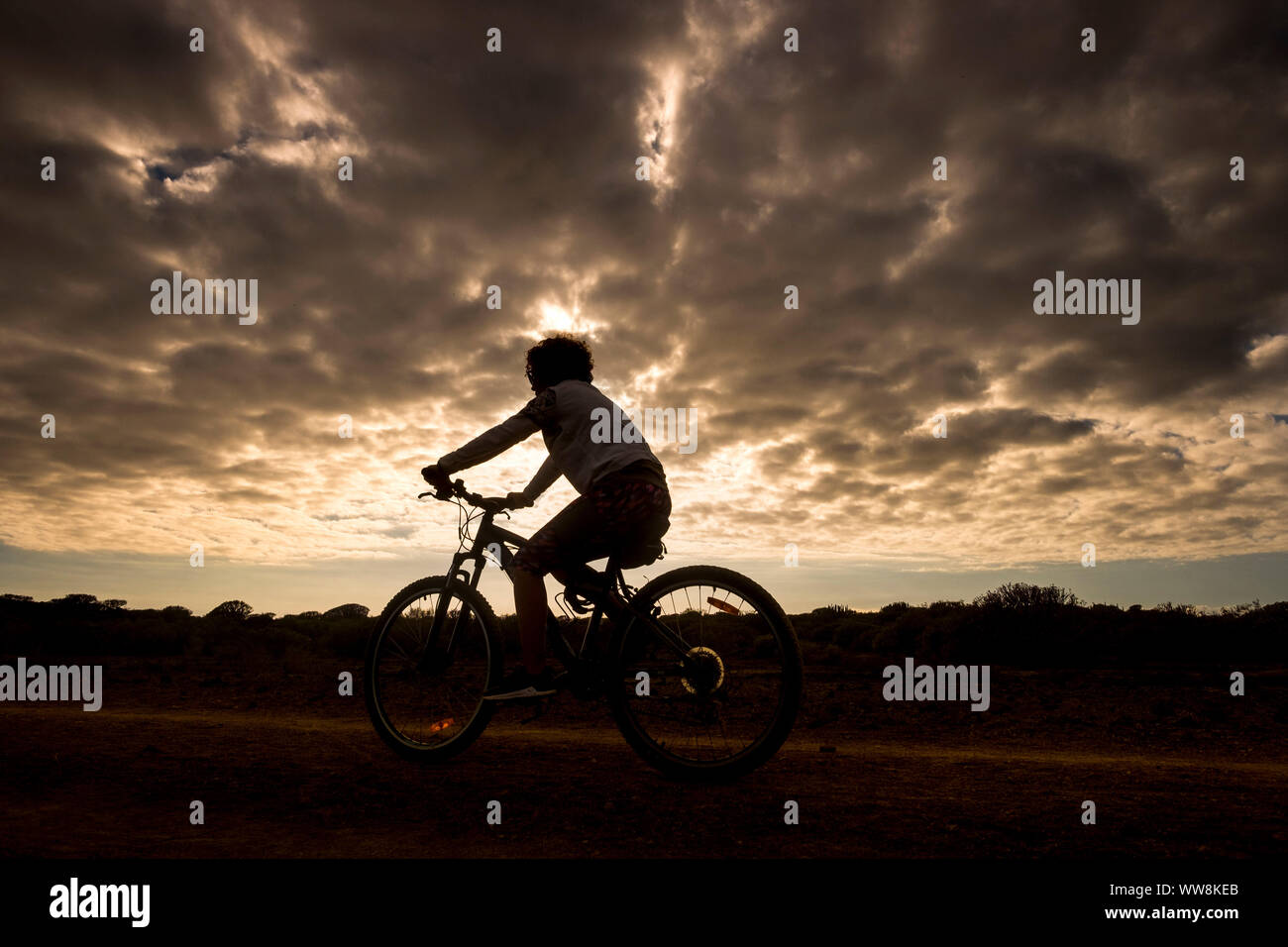 Biker Frau in Aktion mit goldenen Sonnenuntergang im Hintergrund, Silhouette der Athlet auf dem Fahrrad auf der Straße und genießen den Sommer Stockfoto