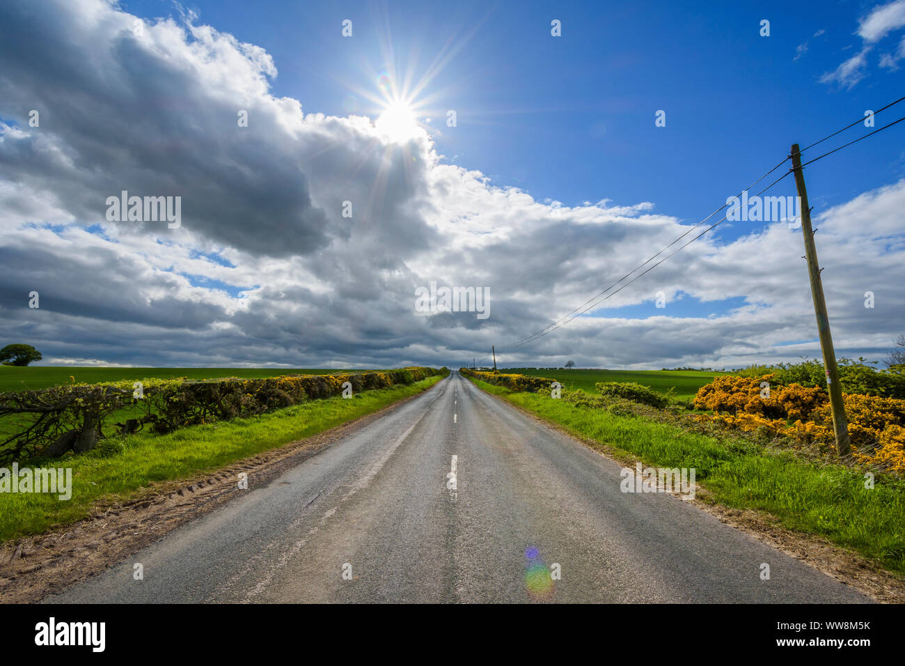 Landstraße mit Sonne im Frühjahr, St Abbs, Schottland, Vereinigtes Königreich Stockfoto