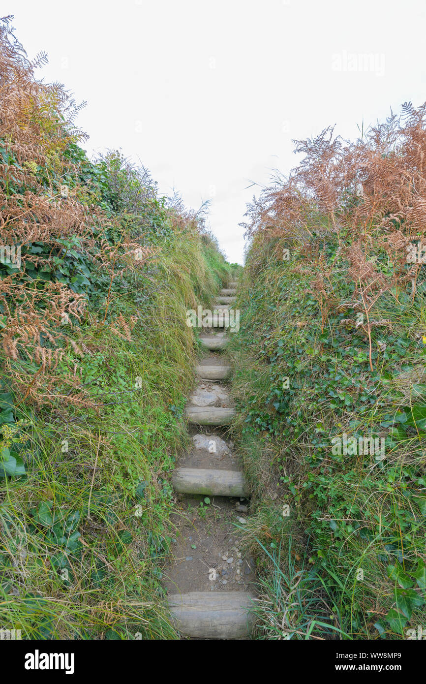 Schmale Treppe an der Küste, Pointe de Kermorvan, Le Conquet, Finistere, Bretagne, Frankreich Stockfoto