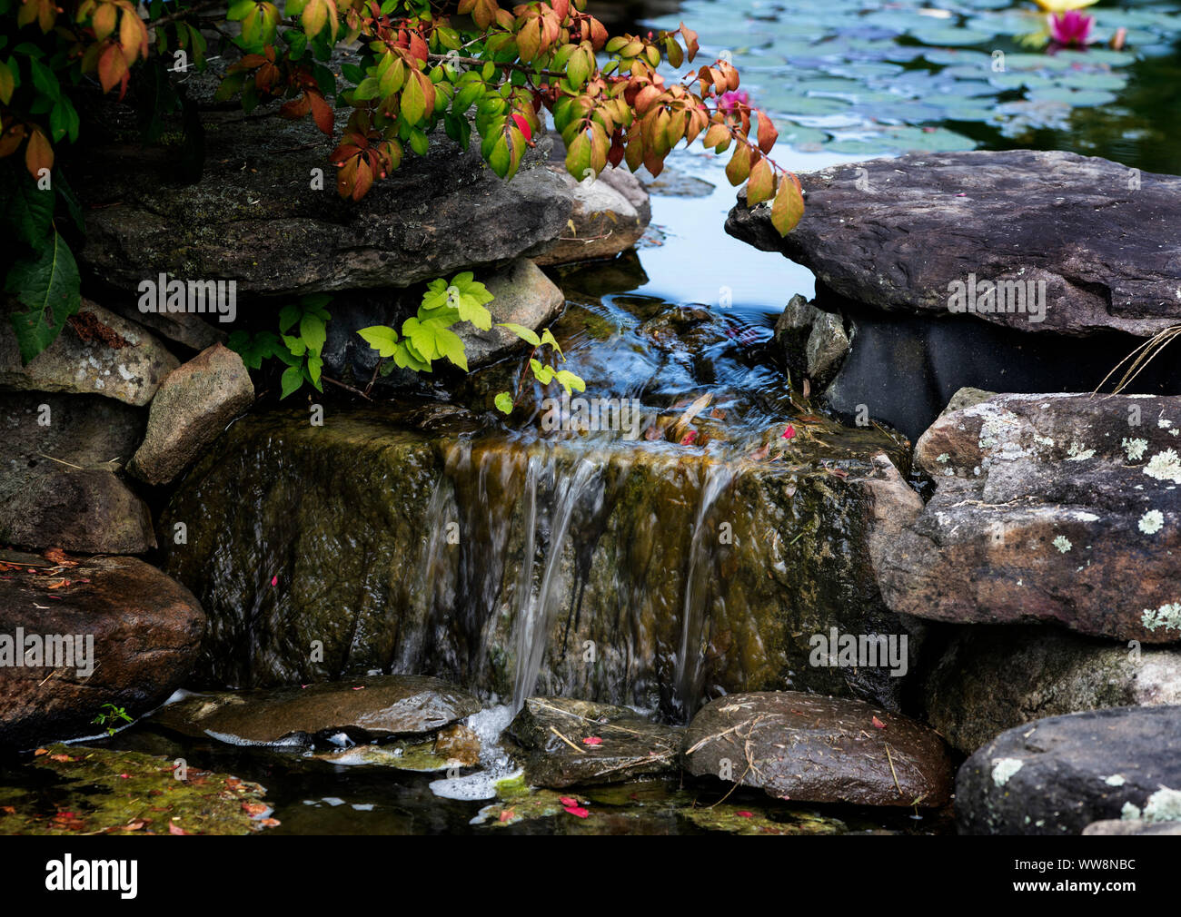 Pool Stockfoto