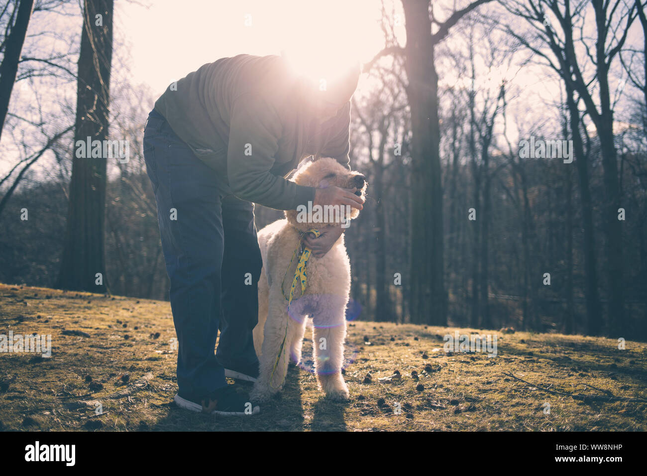 Mann, der das Haupt von seinem Hund in einem Park an einem sonnigen Tag Stockfoto