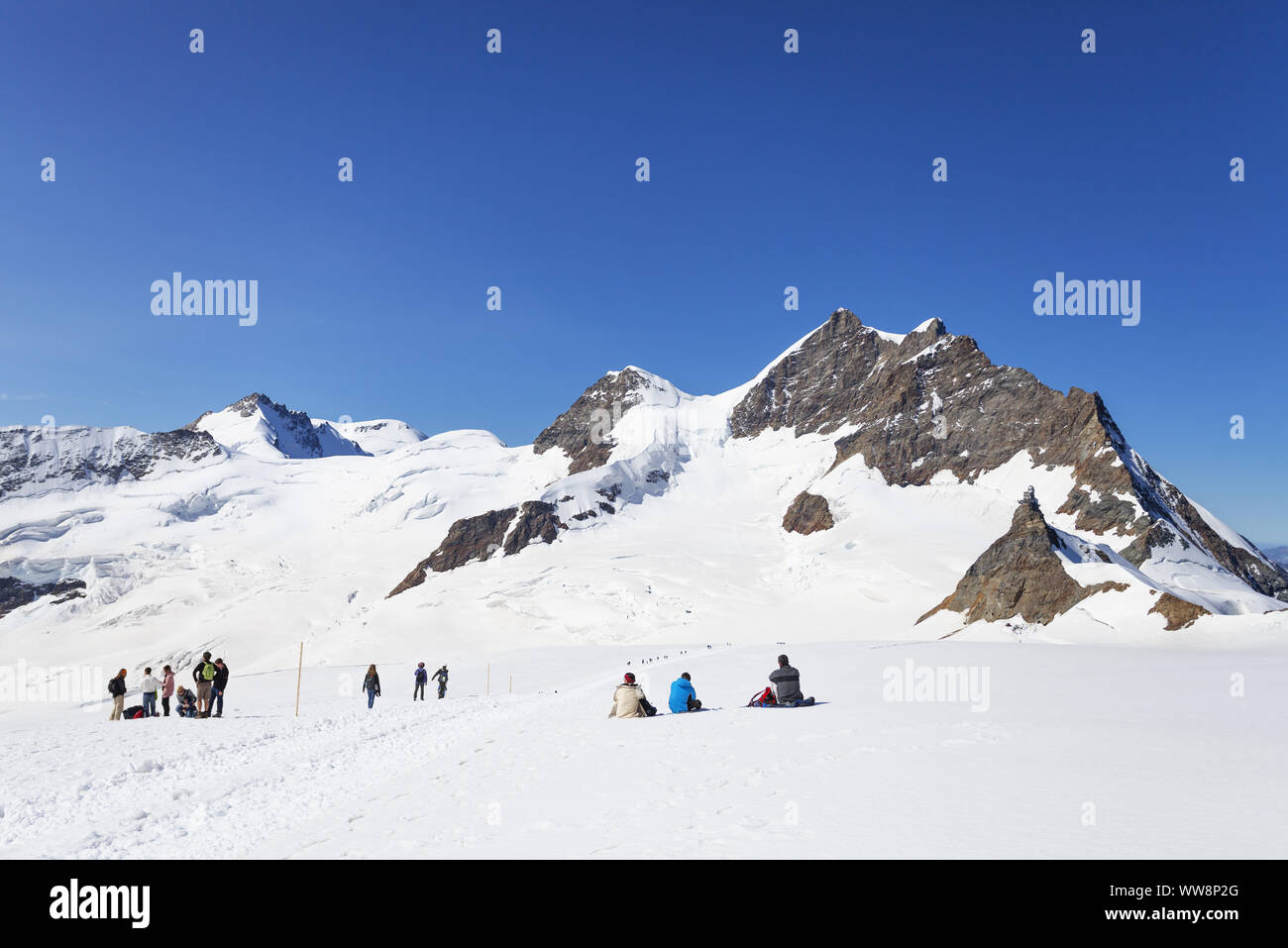 Touristen auf Aletschgletscher, Jungfrau Sattel, Grindelwald, Berner Oberland, Kanton Wallis, Schweiz Stockfoto