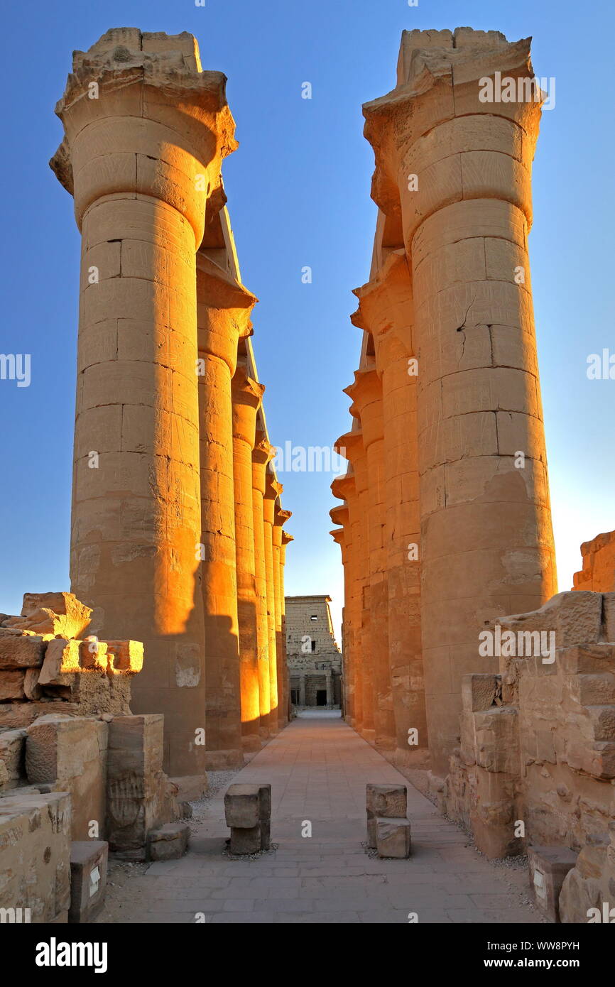 Kolonnade im Tempel von Luxor, Luxor, Oberägypten, Ägypten Stockfoto