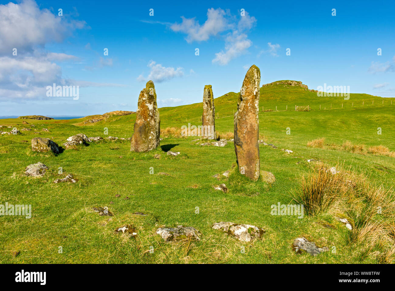 Die Glengorm stehende Steine, in der Nähe der Burg Glengorm, Isle of Mull, Schottland, Großbritannien Stockfoto