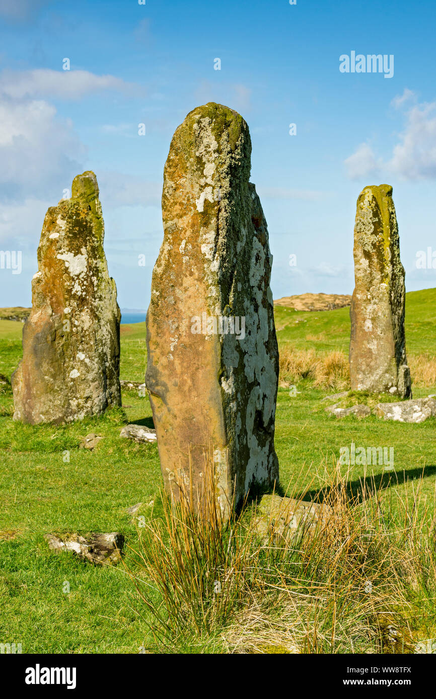 Die Glengorm stehende Steine, in der Nähe der Burg Glengorm, Isle of Mull, Schottland, Großbritannien Stockfoto