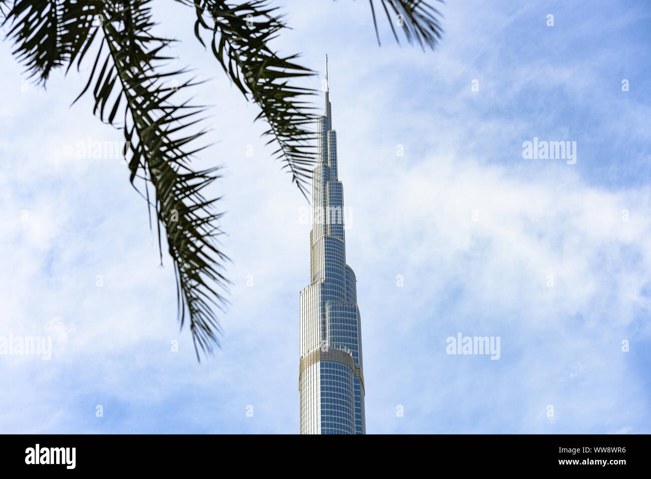 Blick auf den herrlichen Burj Khalifa von einigen Palmen im Vordergrund eingerahmt. Der Burj Dubai, der höchste Turm der Welt. Stockfoto