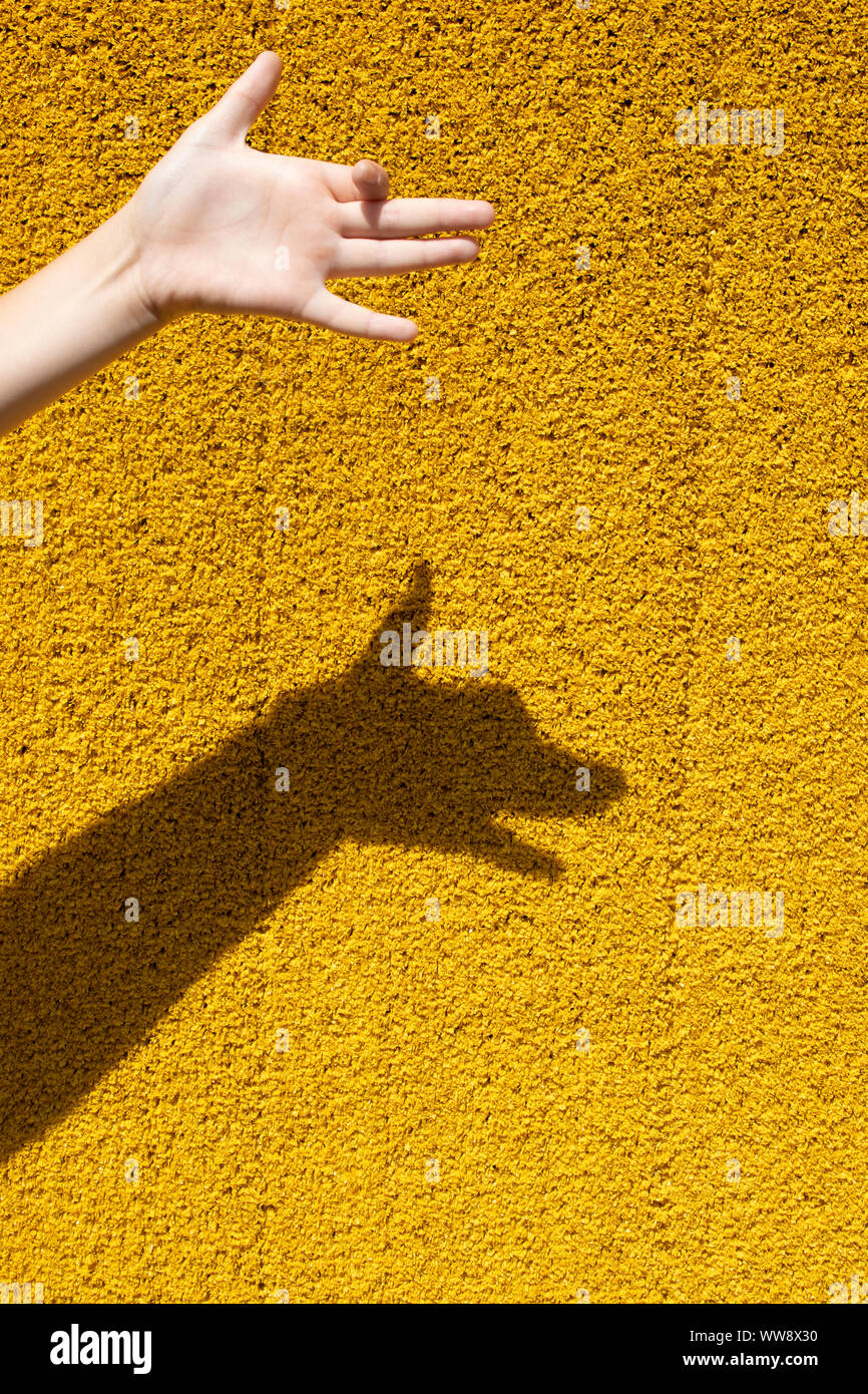 Hand der Kinder zeigt einen Hund, seinen Schatten an der Wand Stockfoto
