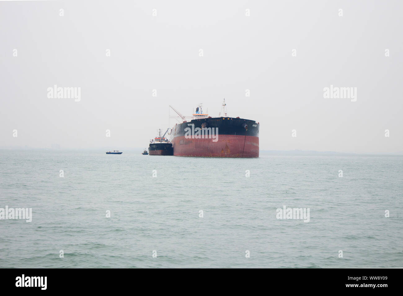 BATAM, Indonesien - 12. Dezember 2018: Fähren und Schiffe Fluggäste während der Morgen von JB Ferry Center batam Center, schöne Wald bac Transport Stockfoto