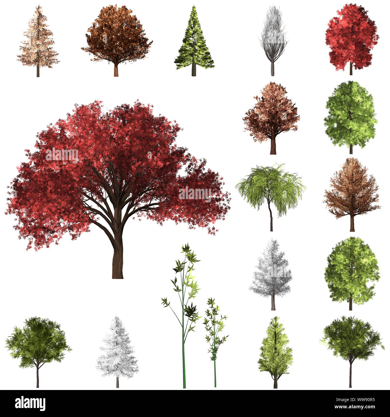 Baum Korrektur design.. 3D-Darstellung. Weißer Hintergrund isolieren. Natur und Gärten Design. Stockfoto