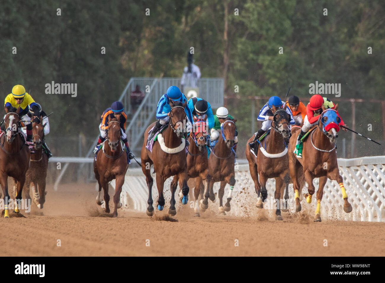 Pferderennen am King Khalid Rennstrecke, Taif, Saudi-Arabien, 14/06/2019 Stockfoto