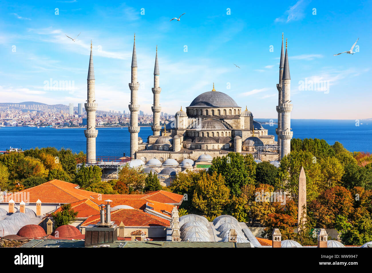 Sultan Ahmet Moschee, die auch die blaue Moschee von Istanbul, Türkei bekannt Stockfoto