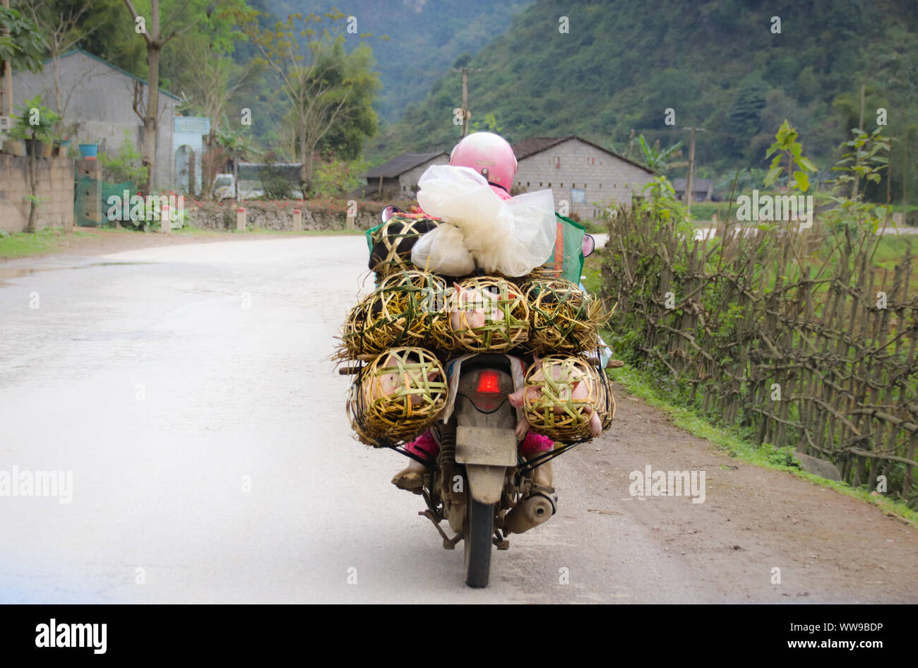 Ein überladenes Motorrad, ein ikonisches Bild, das das authentische tägliche Leben und die Kultur Vietnams zeigt Stockfoto