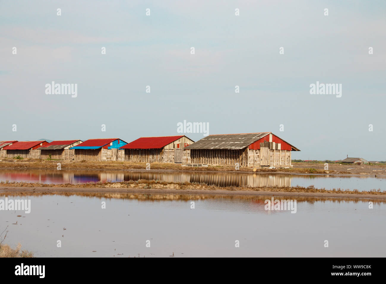 Berühmten Salzfelder von Kampot, Kambodscha Stockfoto
