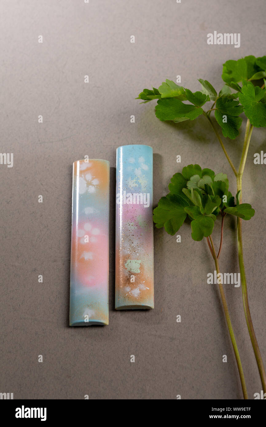 Zwei Schokoriegel und Anlagen Stockfoto