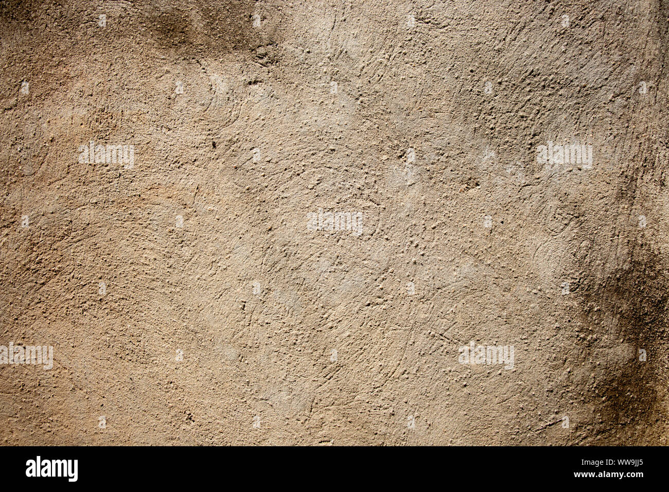 Grobe Zement Wand Textur mit Pilz Stockfoto
