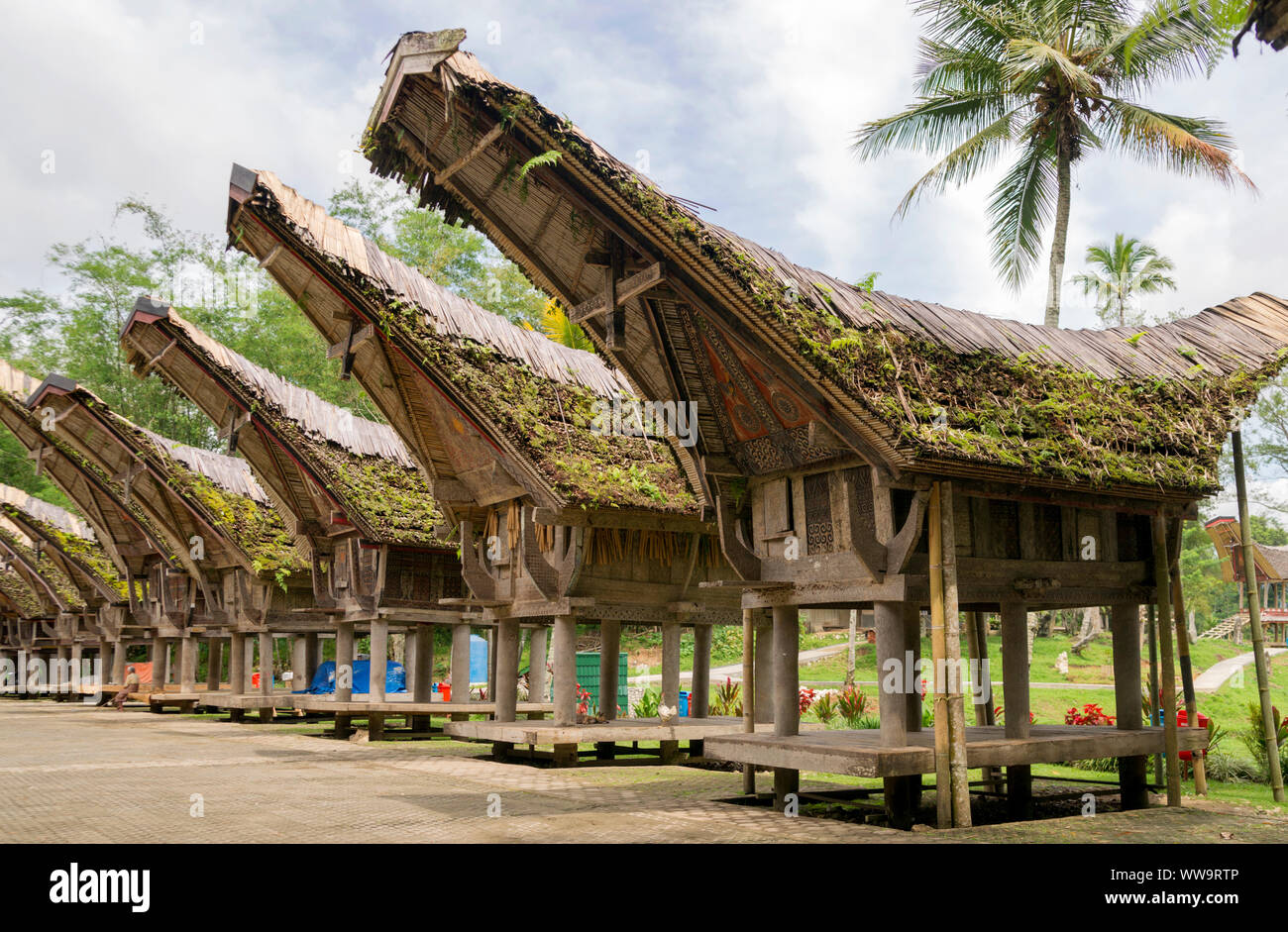 Traditionelle Reishäuser, Kete Kesu, Toraja, Sulawesi, Indonesien Stockfoto