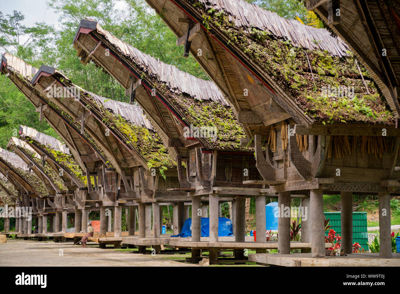 Traditionelle Reishäuser, Kete Kesu, Toraja, Sulawesi, Indonesien, 2014 Stockfoto