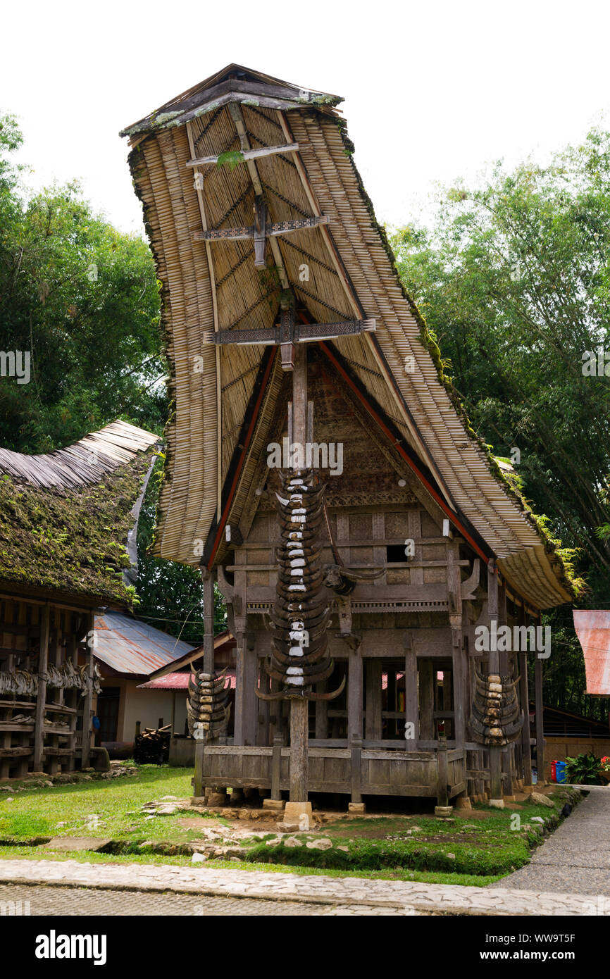 Traditionelle Häuser, Kete Kesu, Toraja, Sulawesi, Indonesien Stockfoto