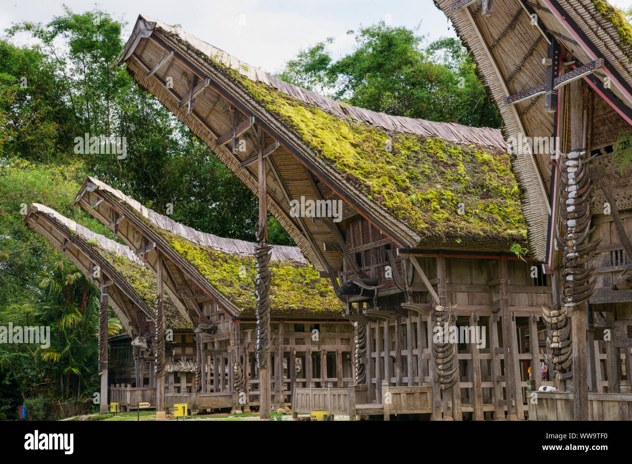 Traditionelle Häuser, Kete Kesu, Toraja, Sulawesi, Indonesien Stockfoto