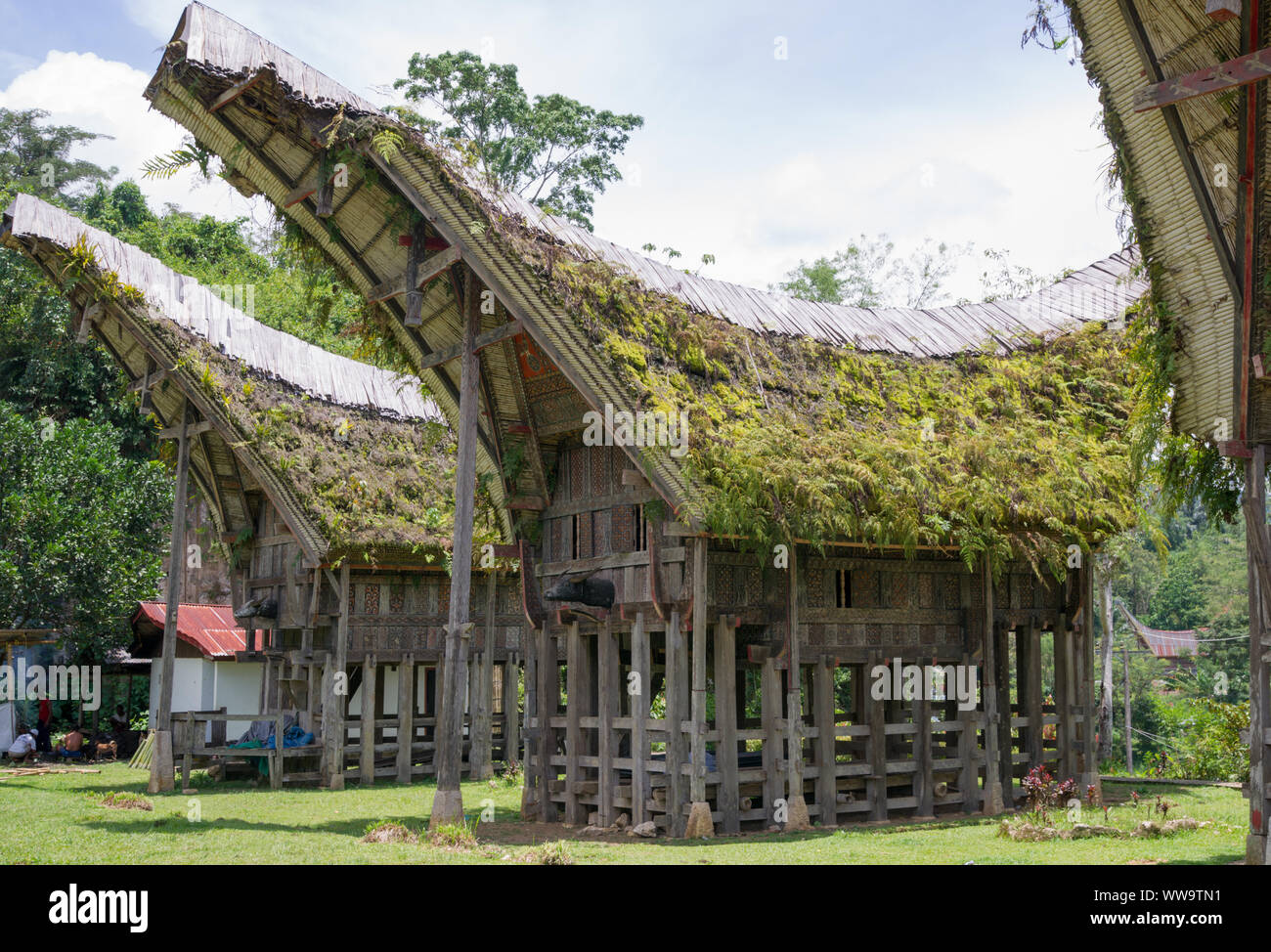 Traditionelle Häuser, Kete Kesu, Toraja, Sulawesi, Indonesien Stockfoto