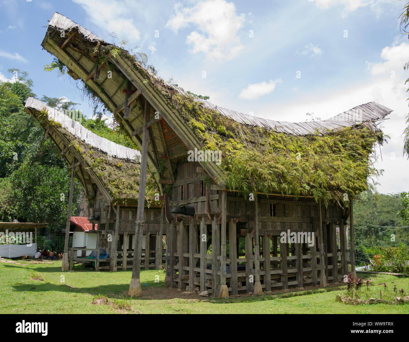Traditionelle Häuser, Kete Kesu, Toraja, Sulawesi, Indonesien Stockfoto