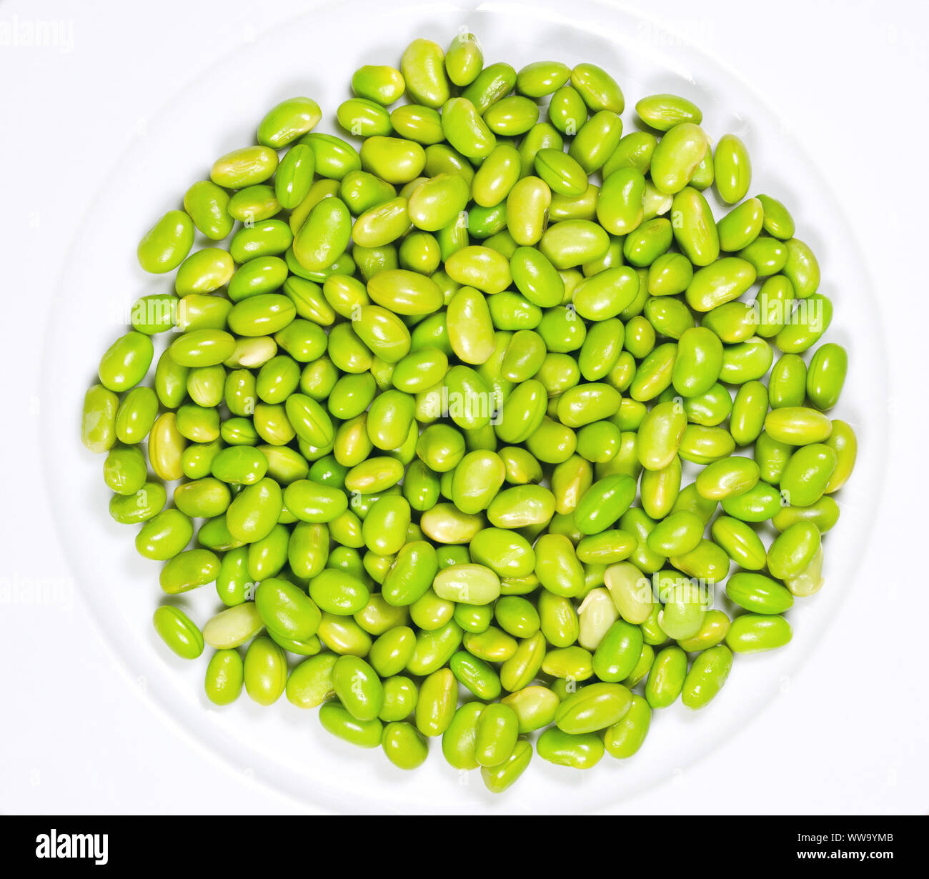 Edamame. Grüne Sojabohnen auf einem weißen Teller. Mukimame, unreife Sojabohnen außerhalb des Pod. Glycine max, ein Legumen, essbare nach dem Kochen und Proteinquelle. Stockfoto