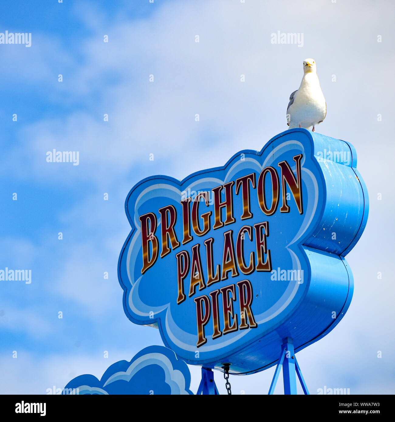Brighton, England, August 2, 2019: eine Möwe sitzt auf einem Schild über Brighton Pier Stockfoto