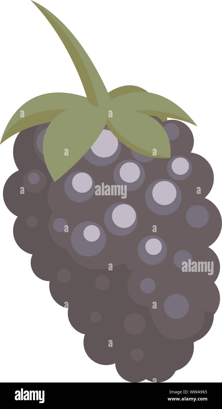 Blackberry Obst Symbol, minimalistischen Stil. Vector Illustration Stock Vektor
