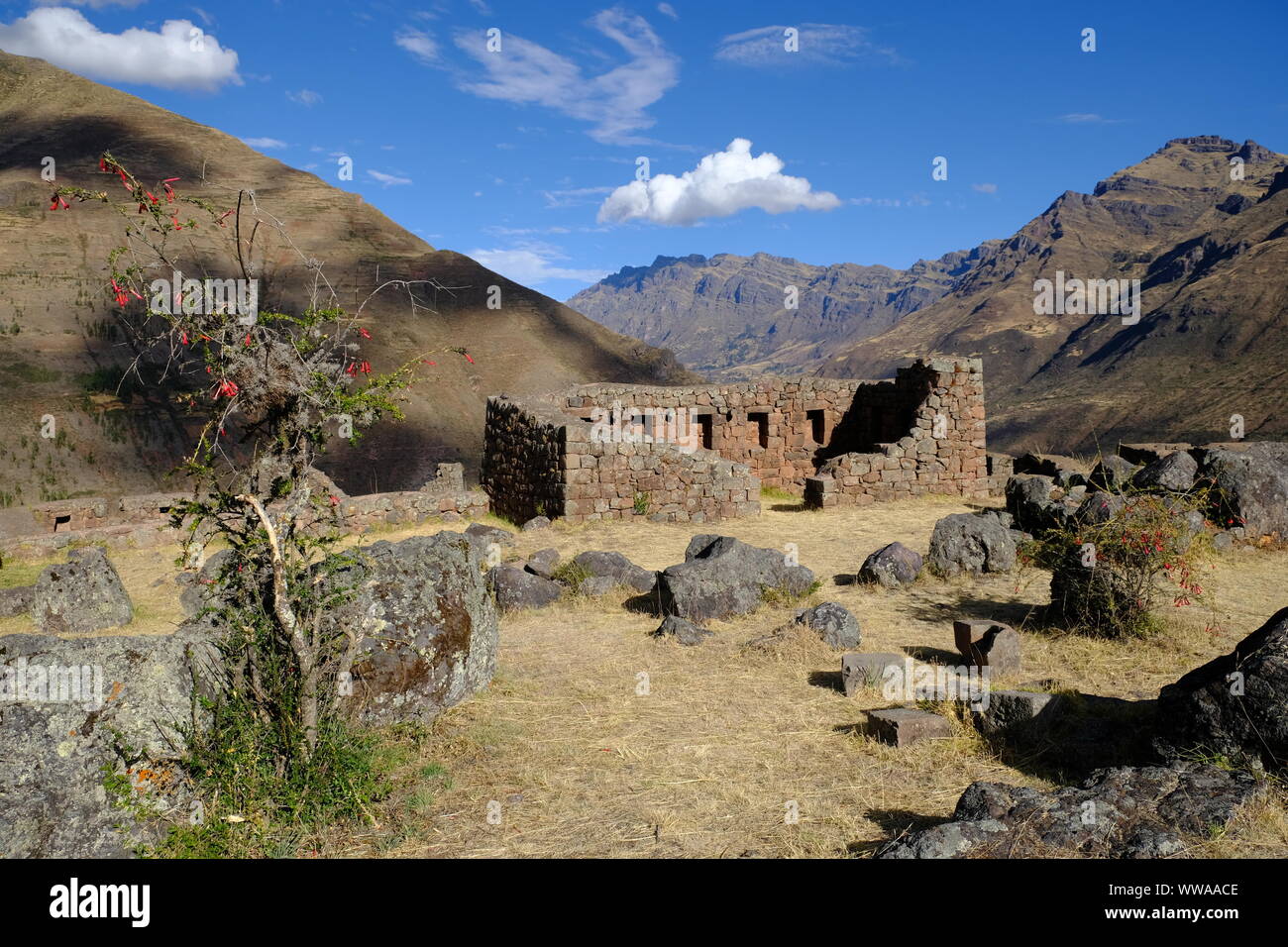 Peru Pisac Archäologischen Park Parque Arqueologico Wanderweg Stockfoto