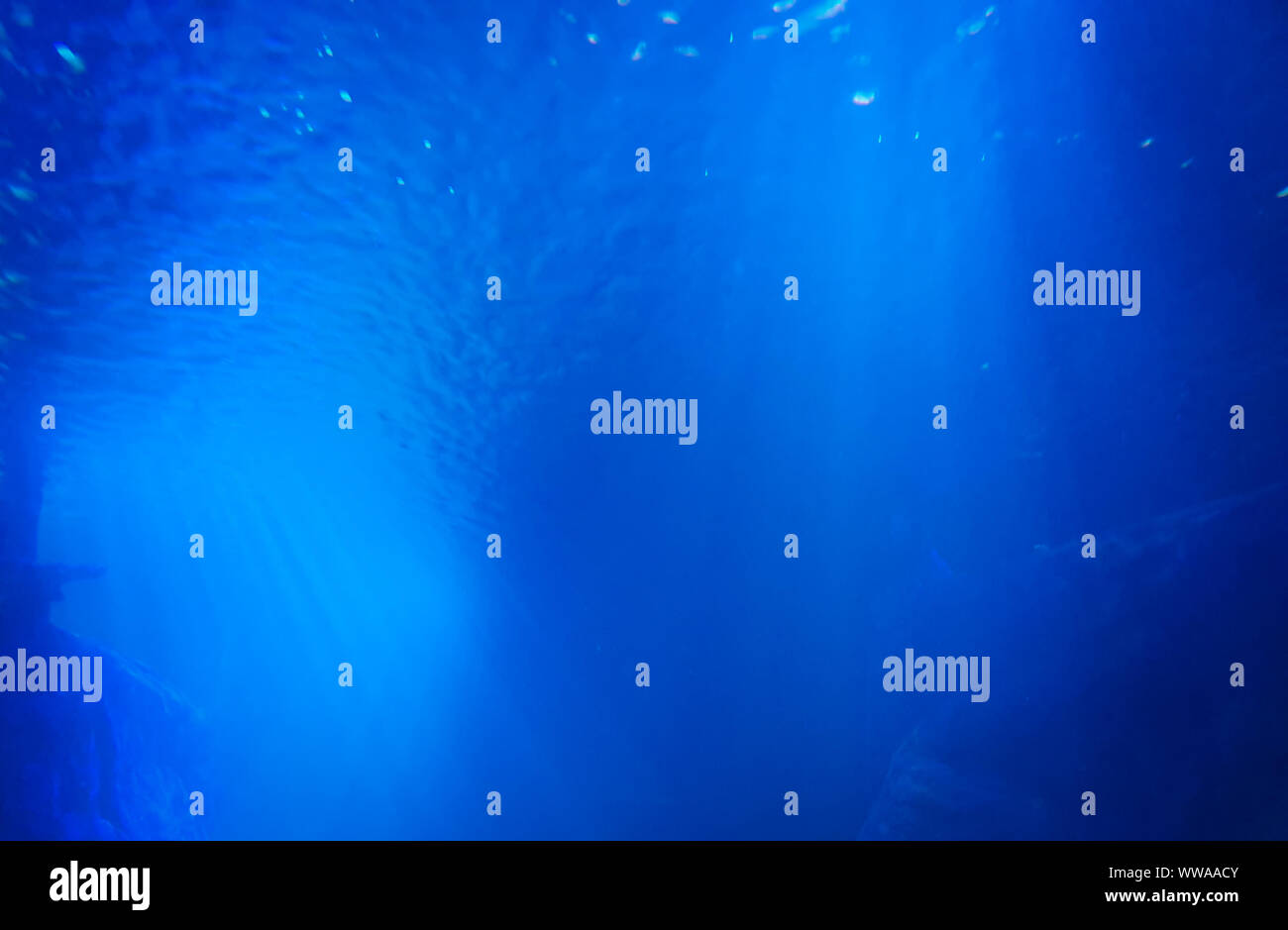Deep Blue Sea unterwasser Bild. Ozean Hintergrund mit Kopie Raum für Produkt anzeigen oder Text. Stockfoto
