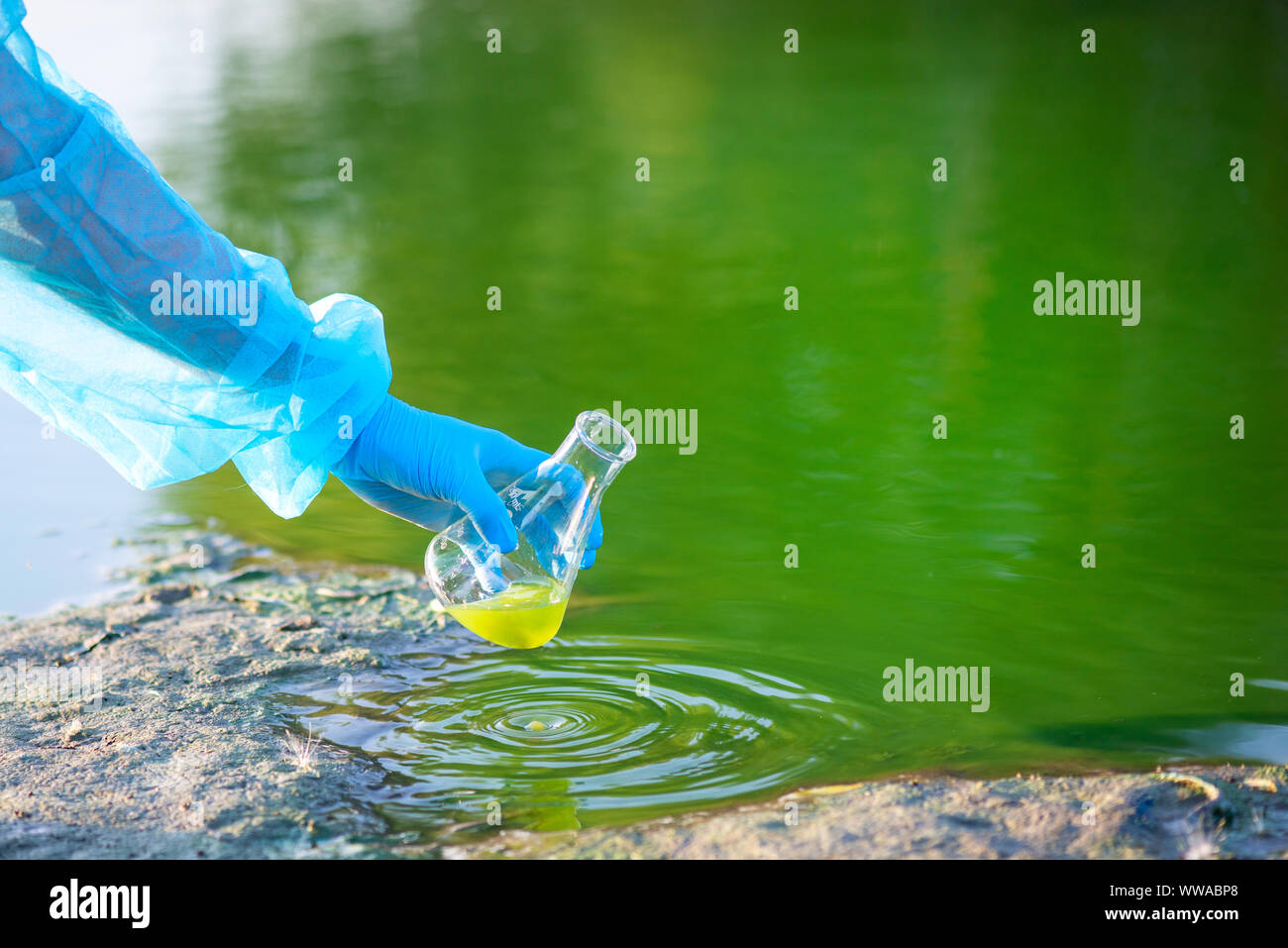 Close-up Umweltschützer Hand eines Forschers, erzeugt einen Prozess, in dem eine Probe von Wasser aus einem See Stockfoto